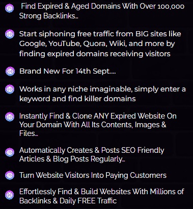 Domain Blaster Review